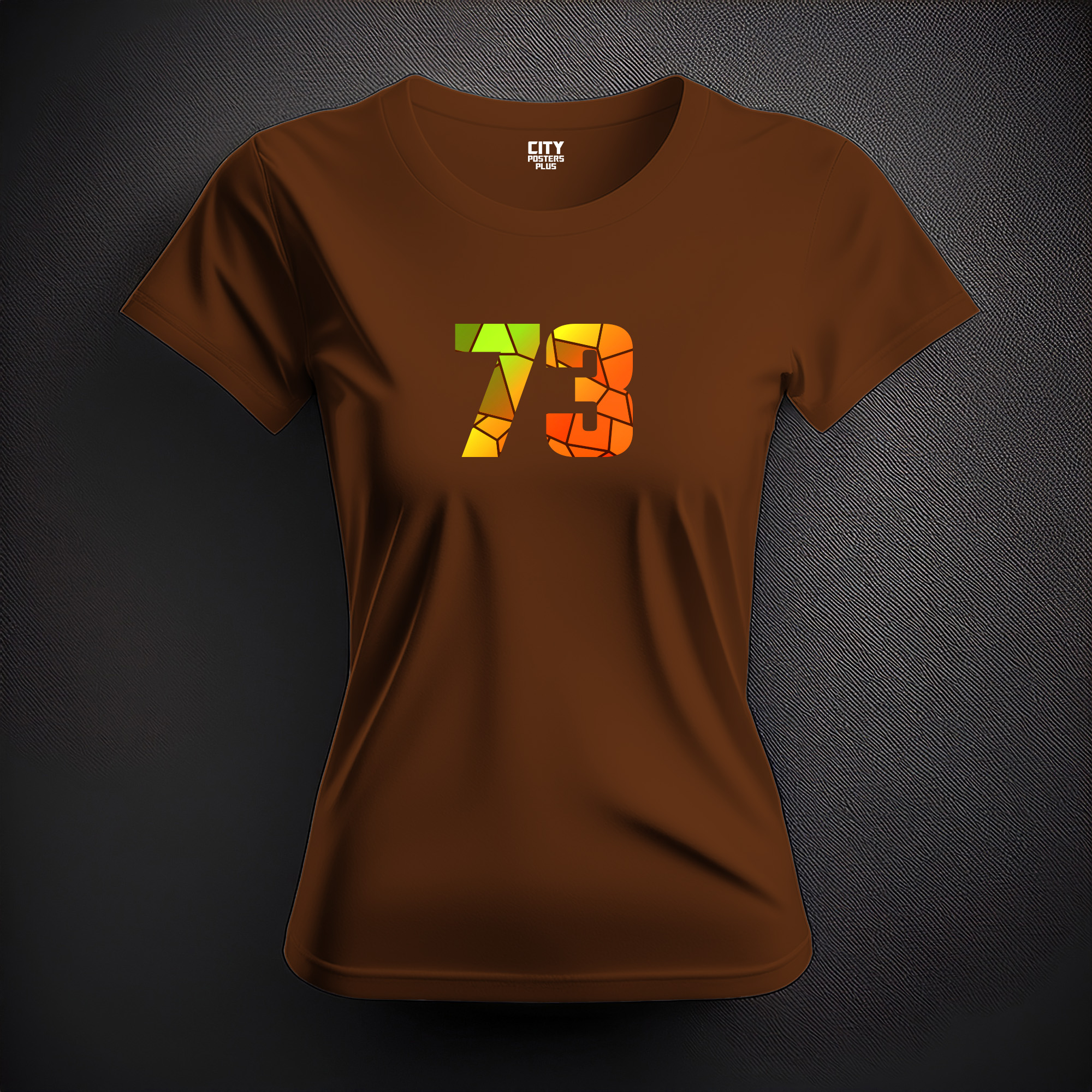 73 Number Women T-Shirt (Brown)